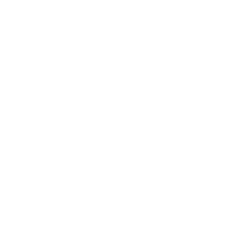 topcon